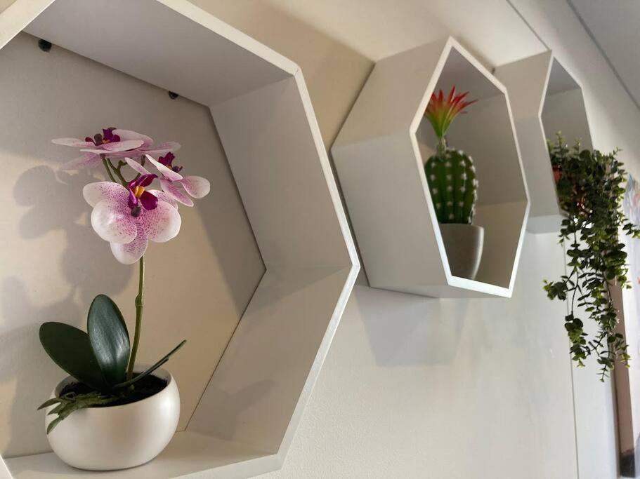 Апартаменты Acogedor Loft En Centro Internacional De Богота Экстерьер фото